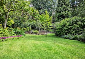 Optimiser l'expérience du jardin à Saint-Benoît