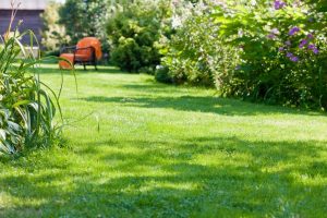 travaux jardin et paysage Saint-Benoît